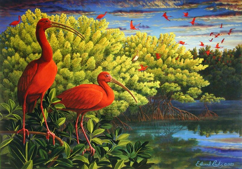Red Ibis Birds — Serene, Sunset