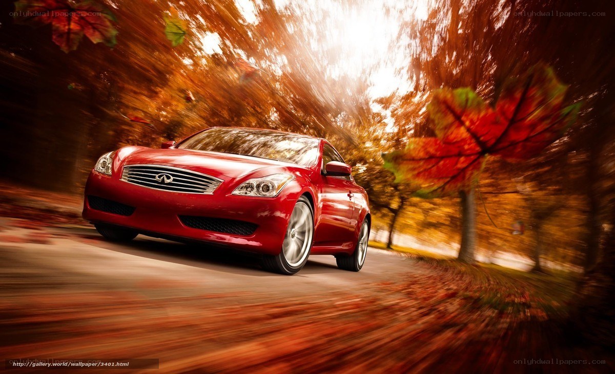 Red Infiniti in autumn
