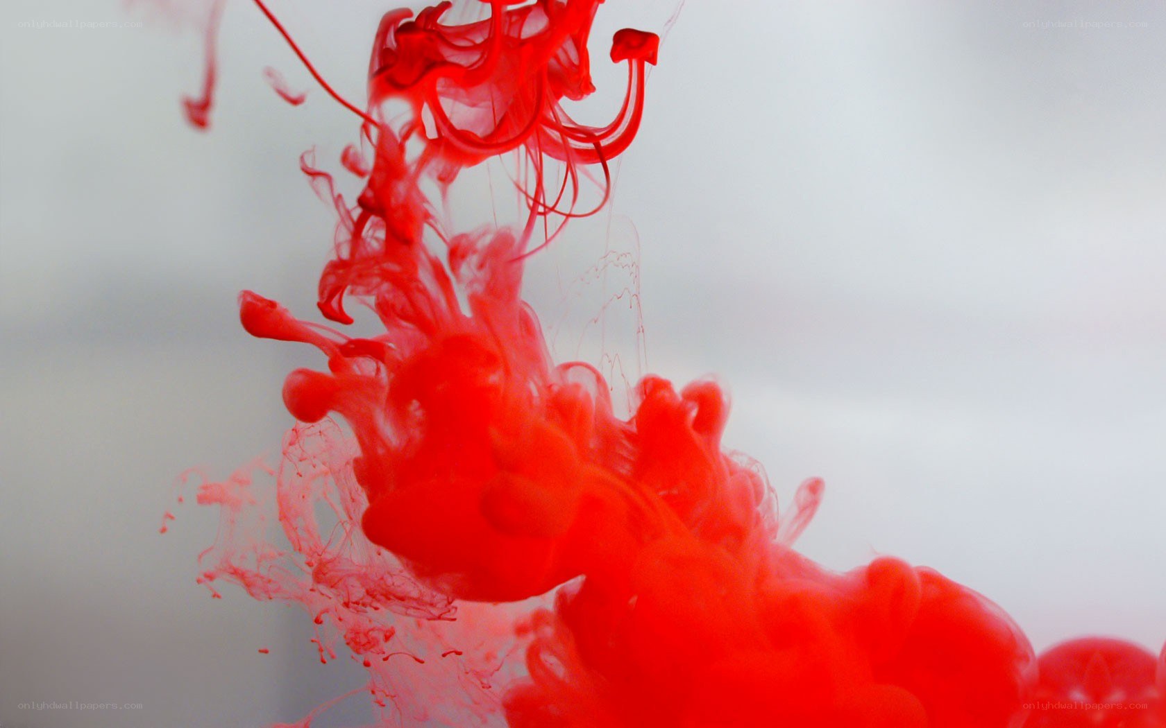 Red ink dispersing in water