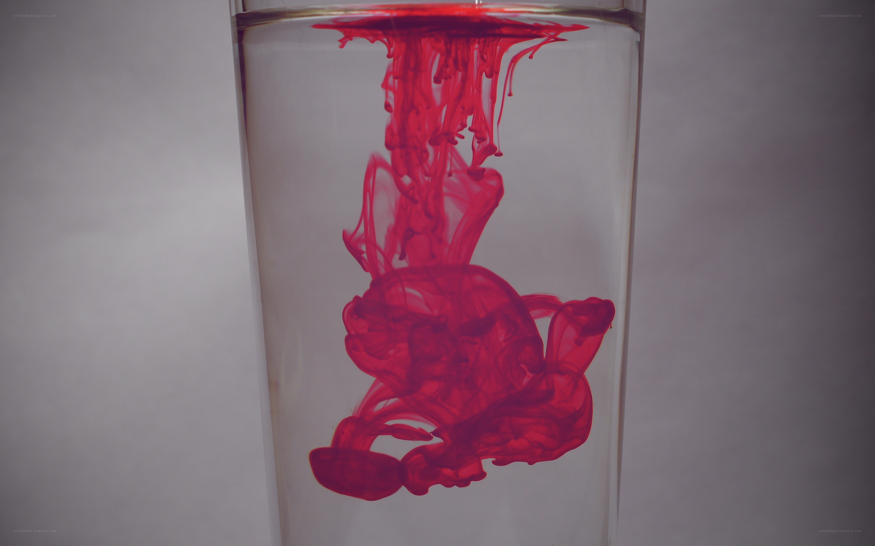 red ink in water