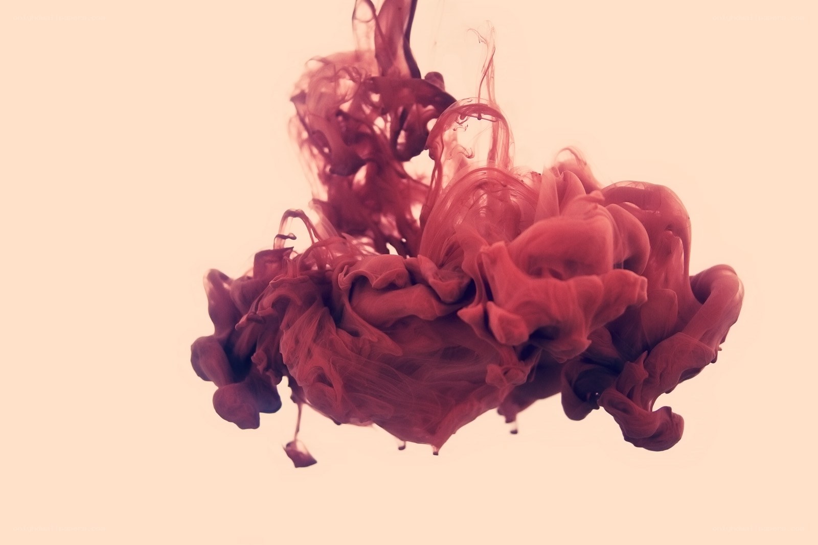 red ink in water