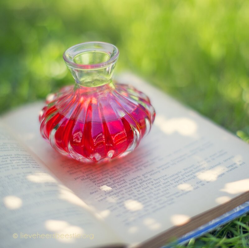 Red Inkwell on Book