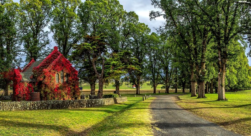 Red-ivy-covered Chapel