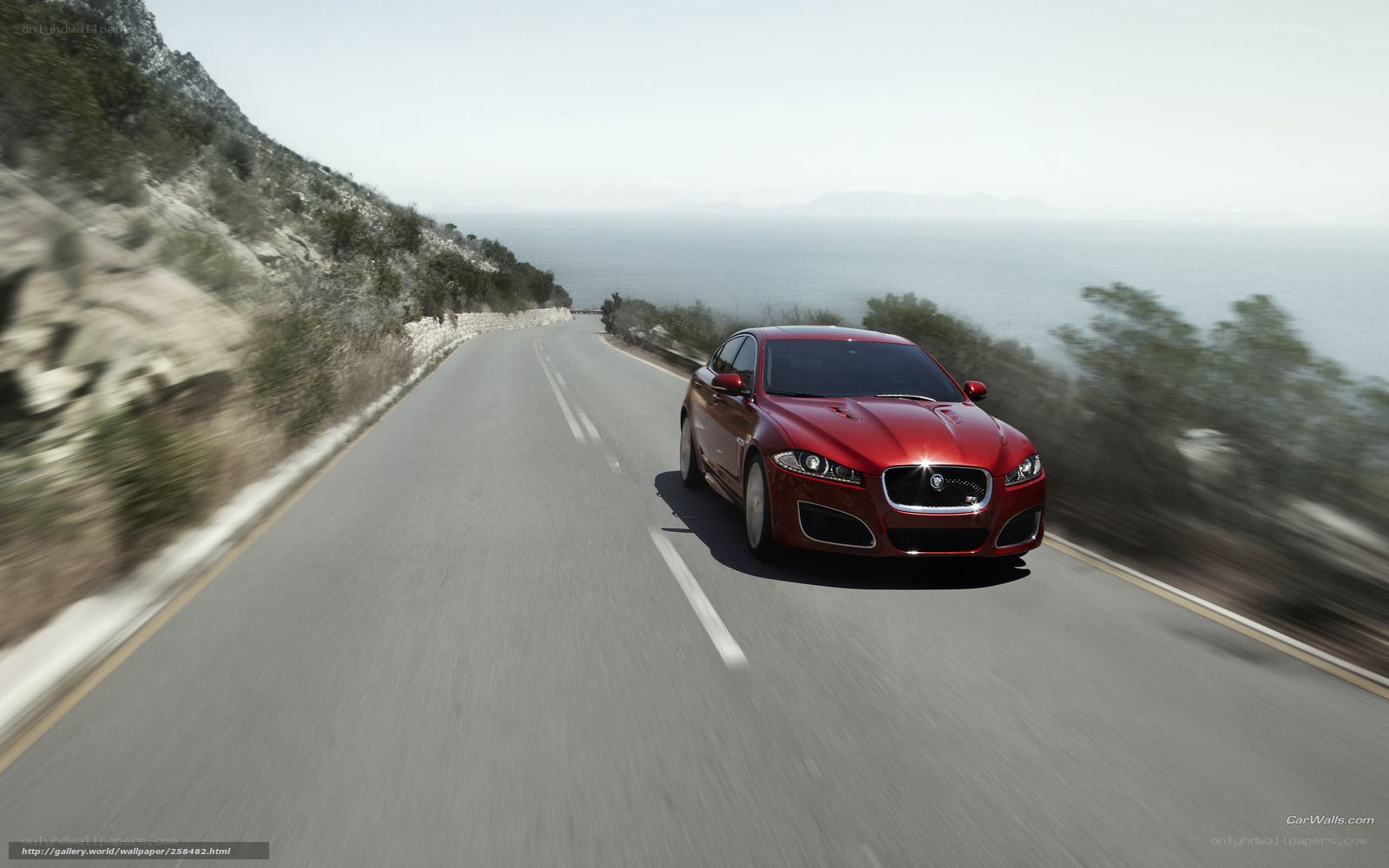 Red Jaguar on coastal road