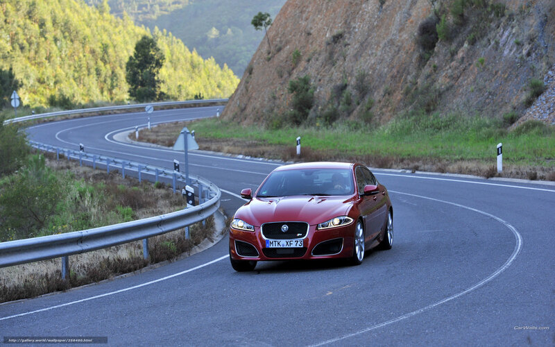 Red Jaguar on winding road
