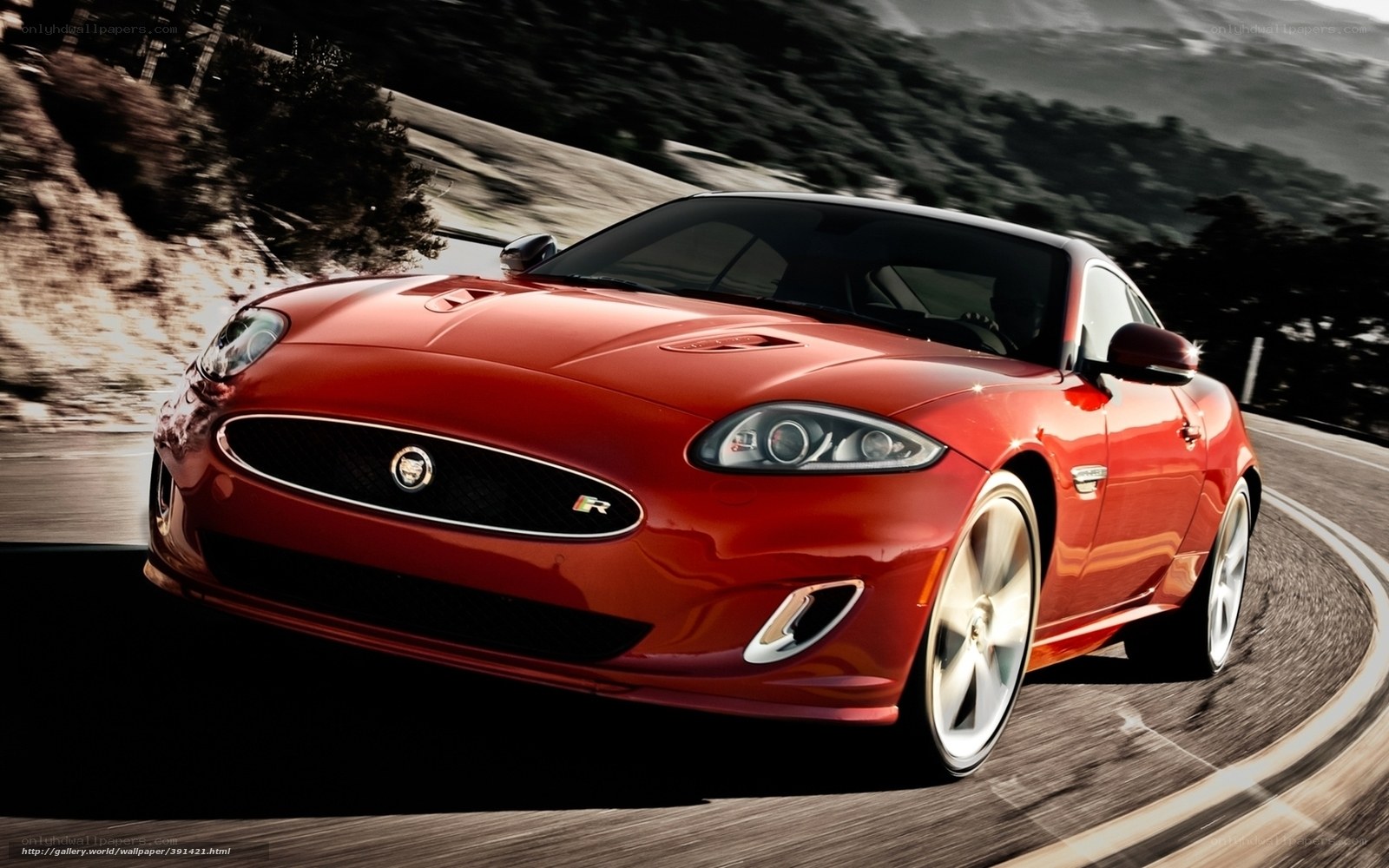 Red Jaguar sports car on road
