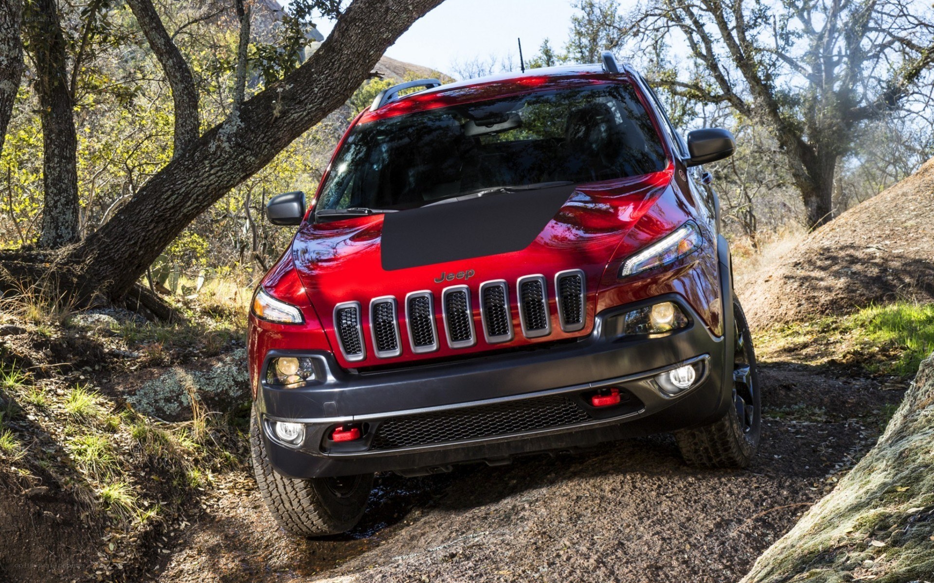 Red Jeep Cherokee on a forest trail
