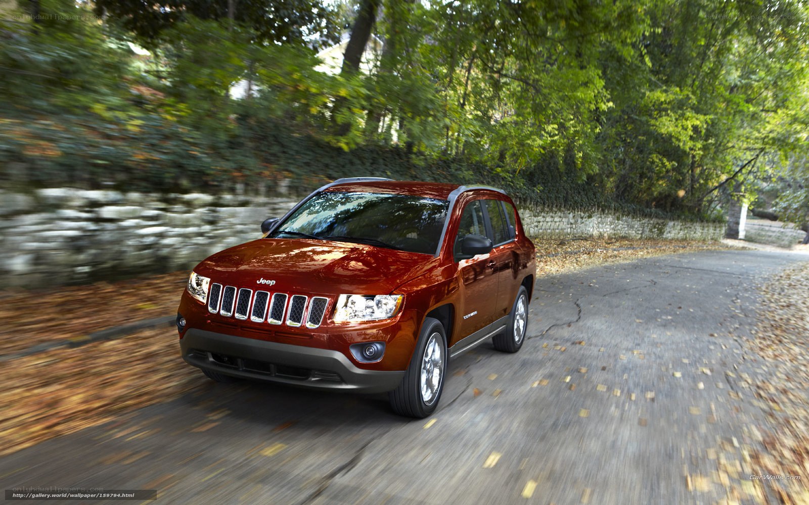 Red Jeep Compass on a forest road