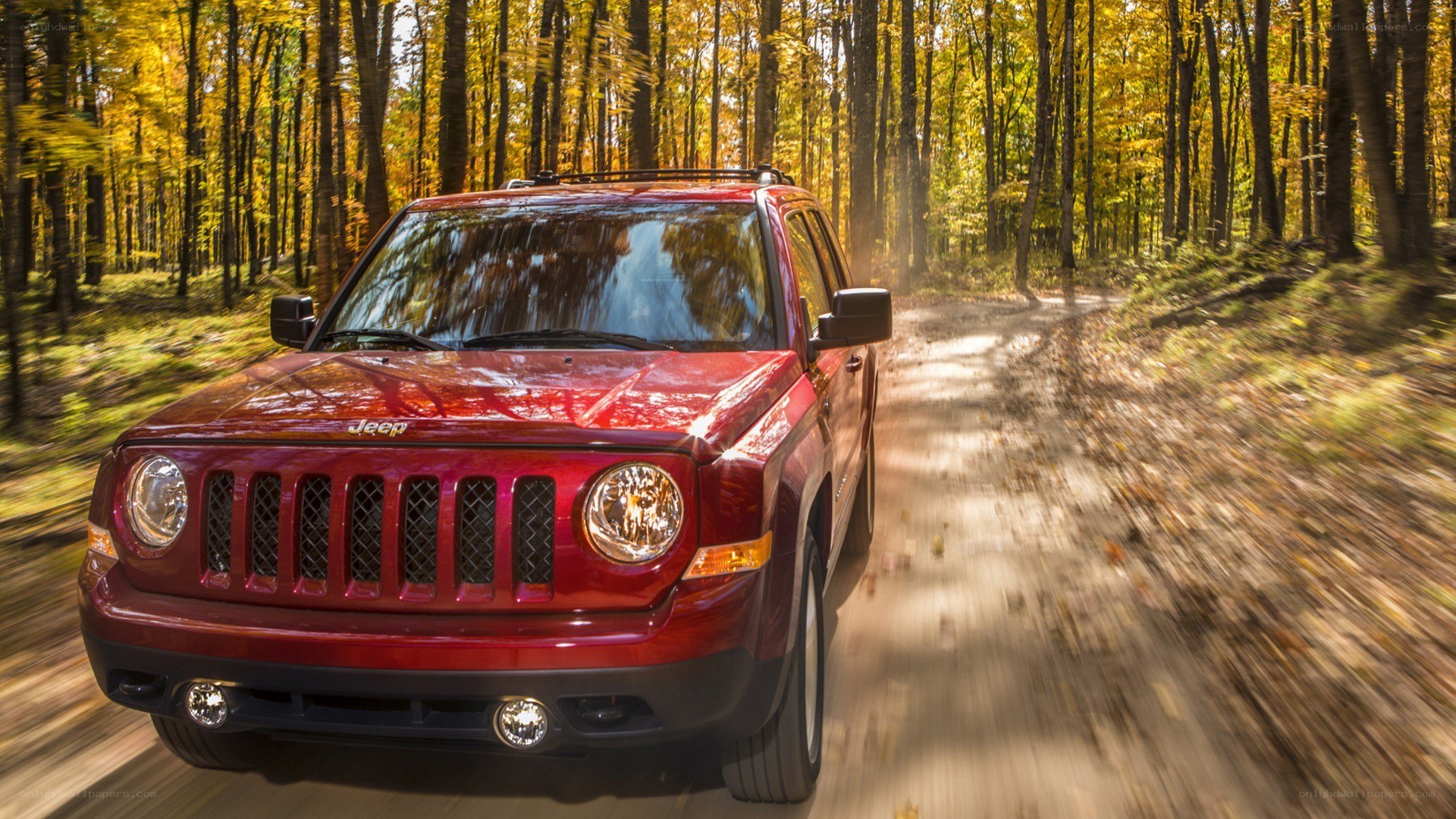 Red Jeep driving on forest path