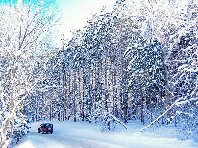 Red Jeep in Snow
