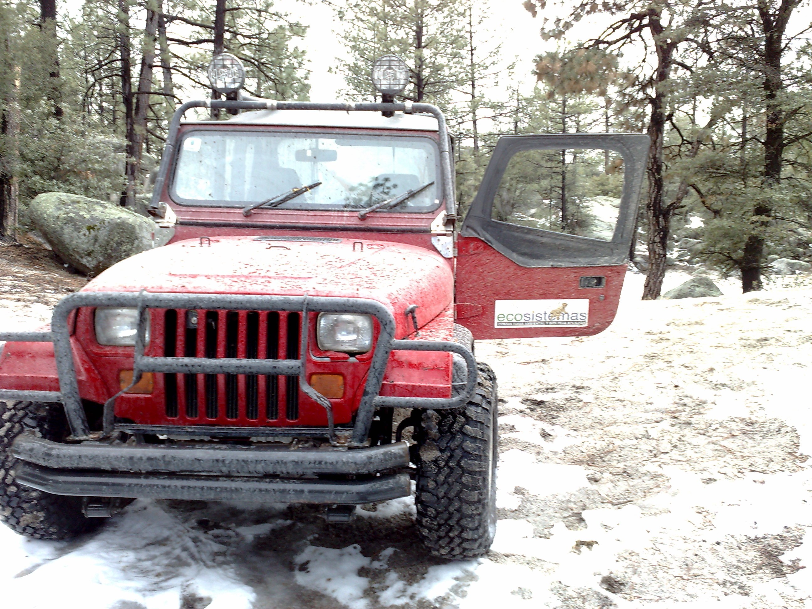 Red jeep in snowy forest