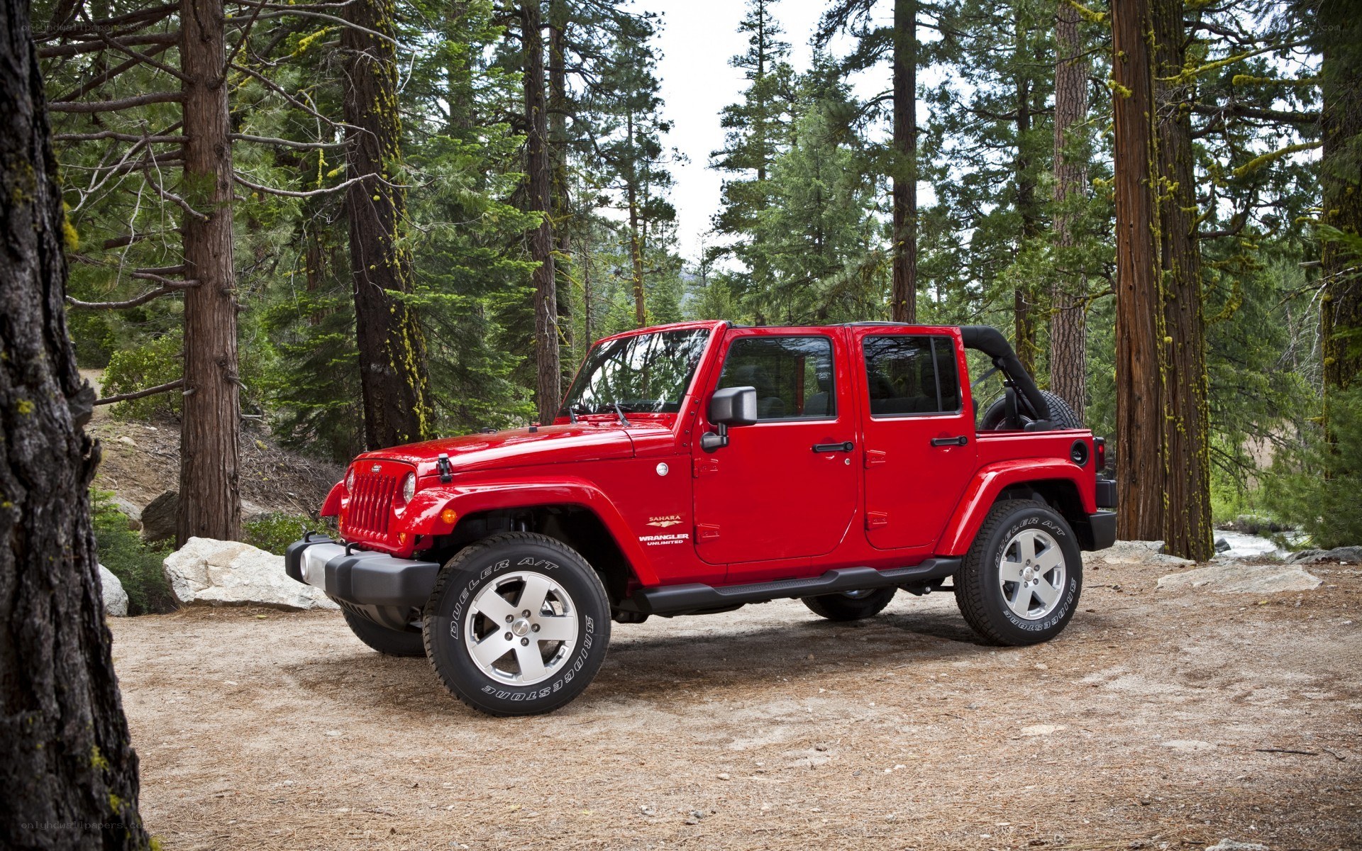Red Jeep Wrangler in forest