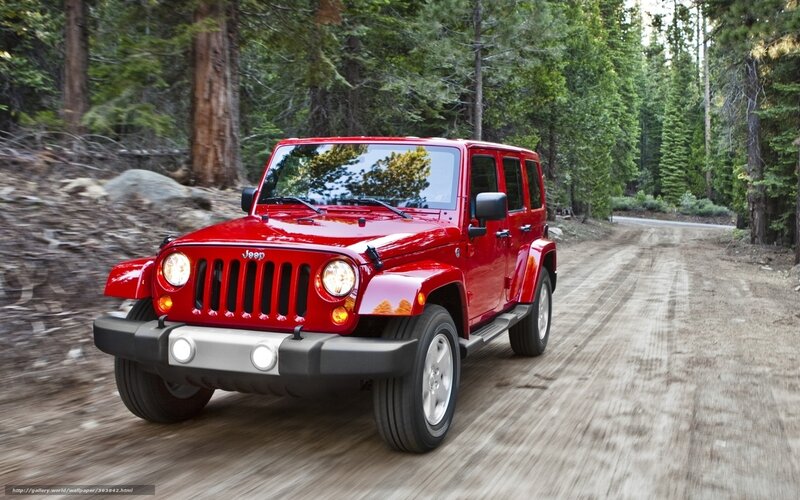 Red Jeep Wrangler on forest road