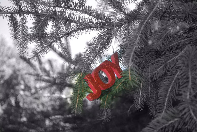 Red Joy Ornament