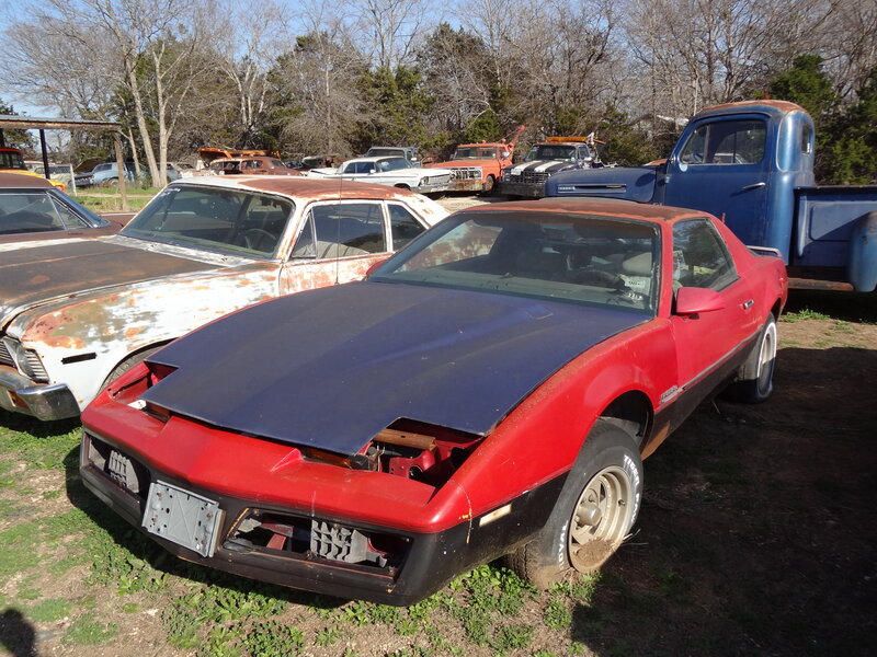 Red K-cars in Junkyard