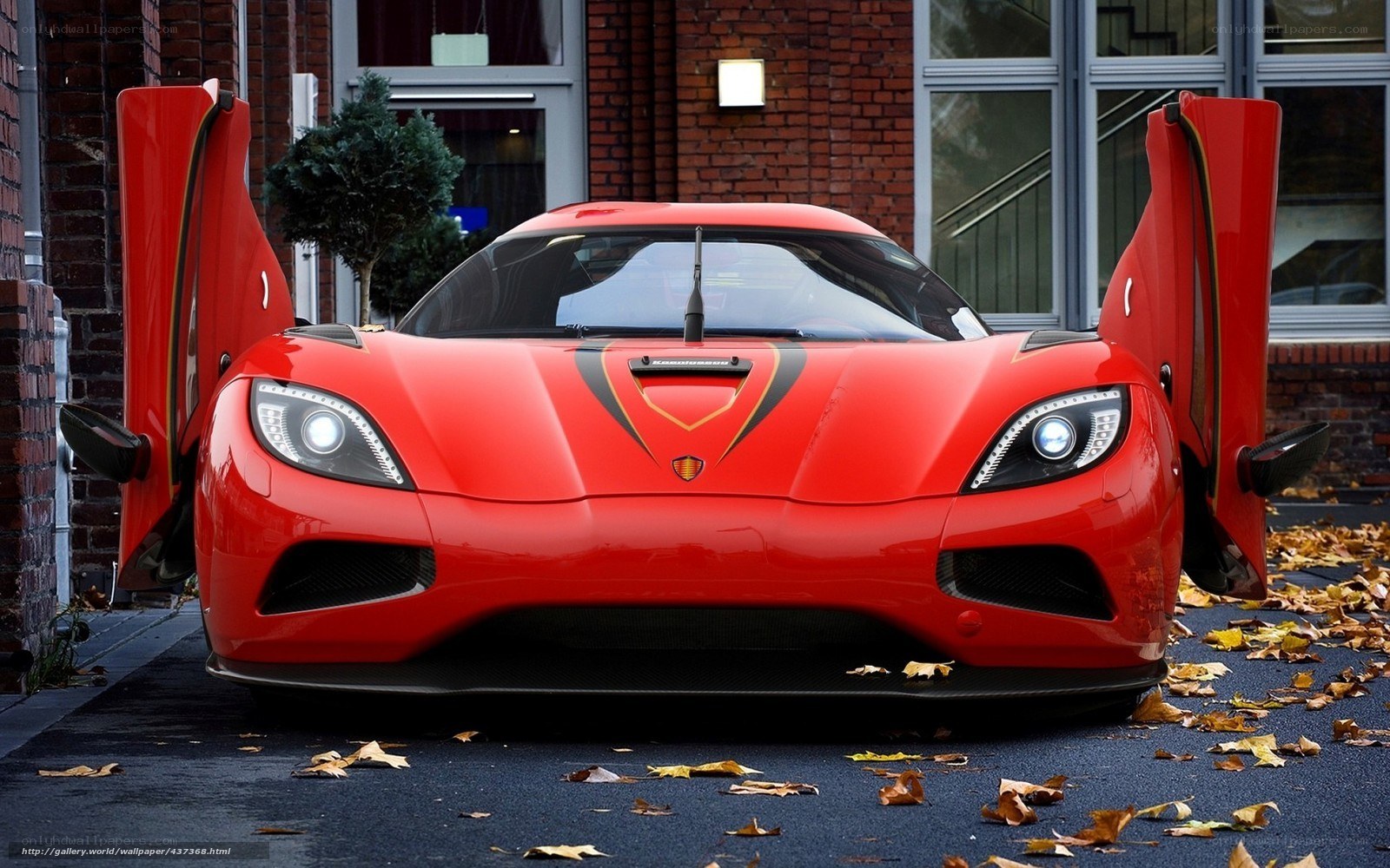 Red Koenigsegg sports car