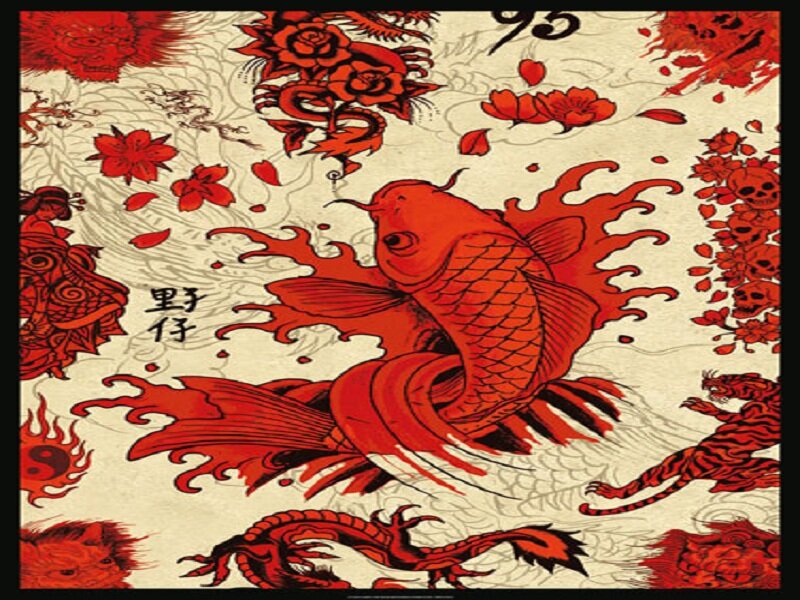 Red Koi Fish Illustration