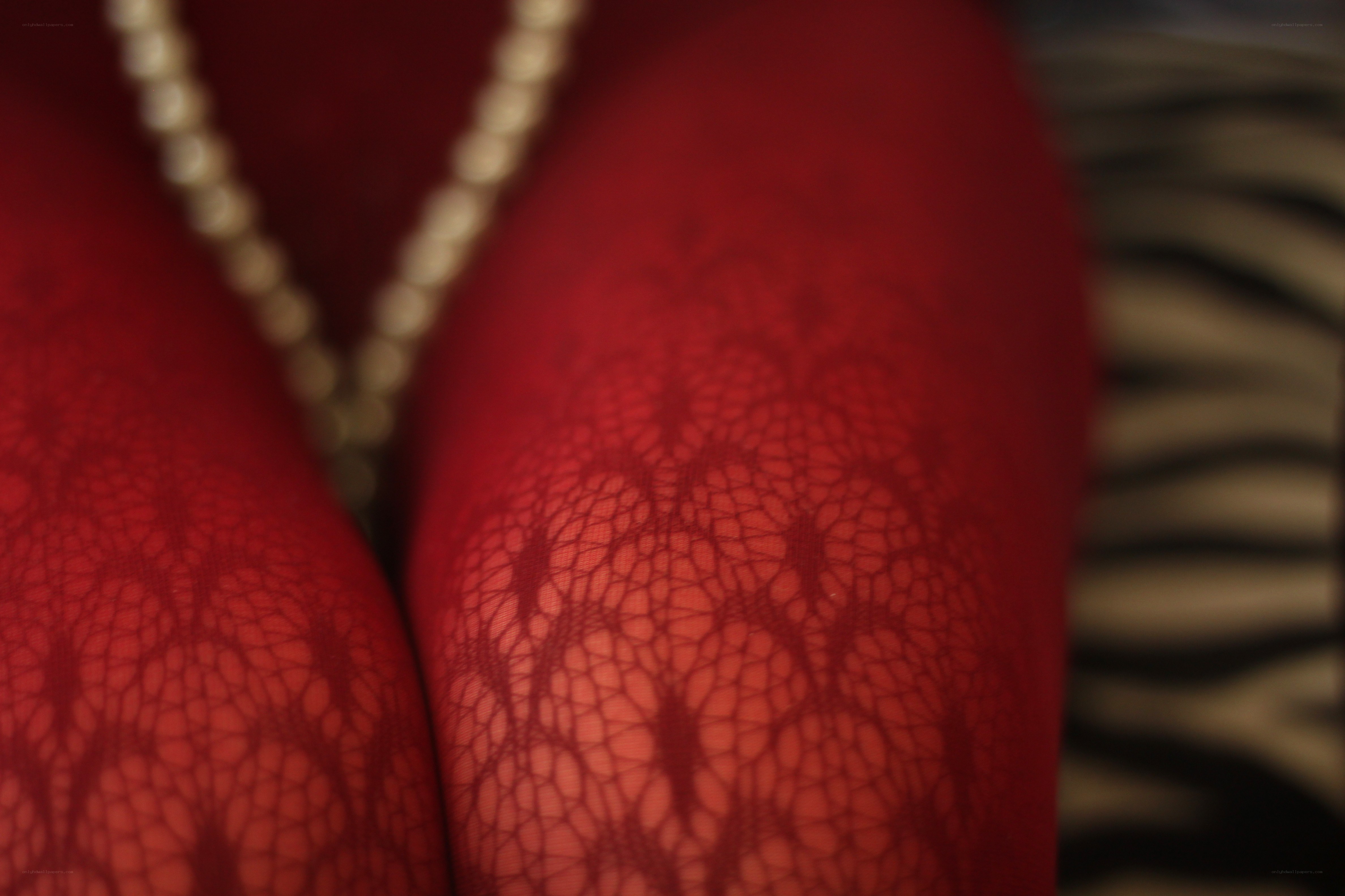red lace tights close-up