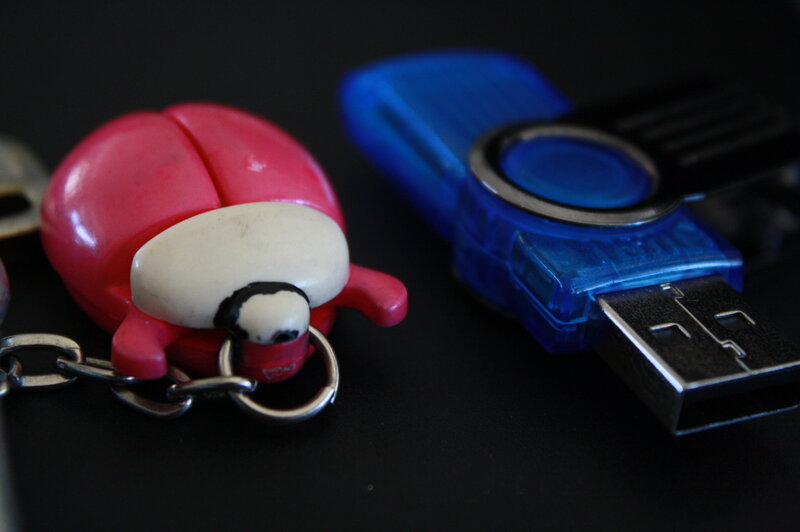 Red Ladybug Keychain