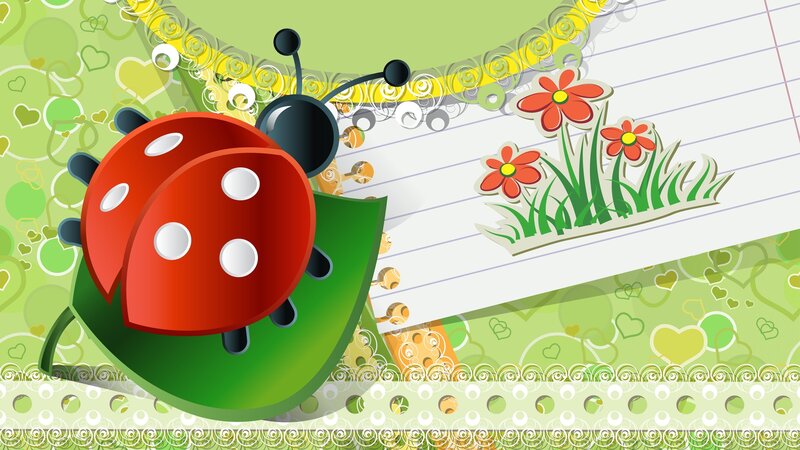Red Ladybug on Green Leaf