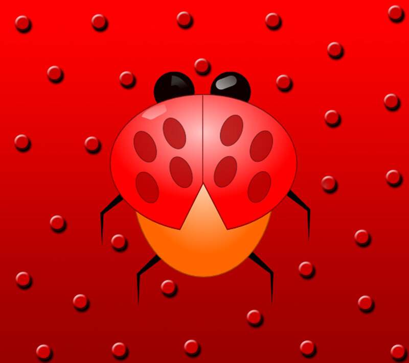 Red Ladybug on Red Surface