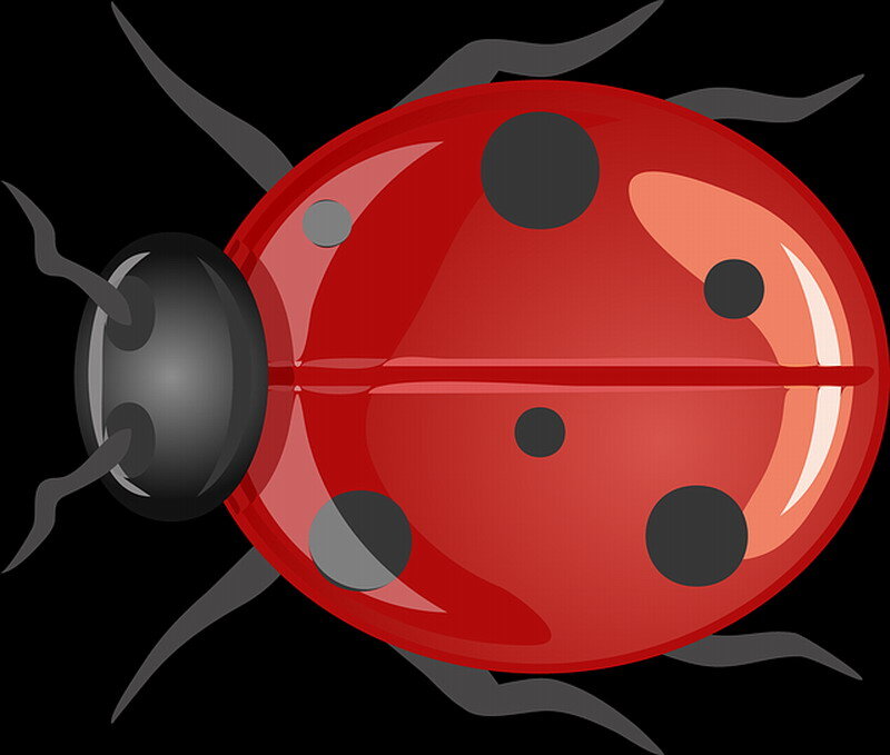 Red Ladybug