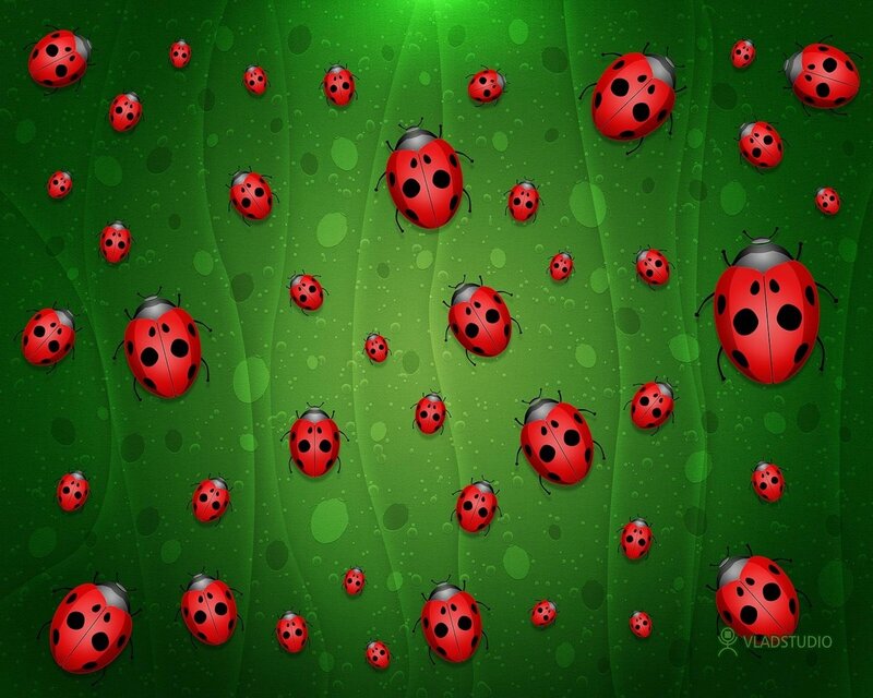 Red Ladybugs on Green Leaf — Calm, Digital Art, Dew Drops, Insects