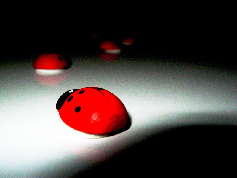 Red Ladybugs on White Surface