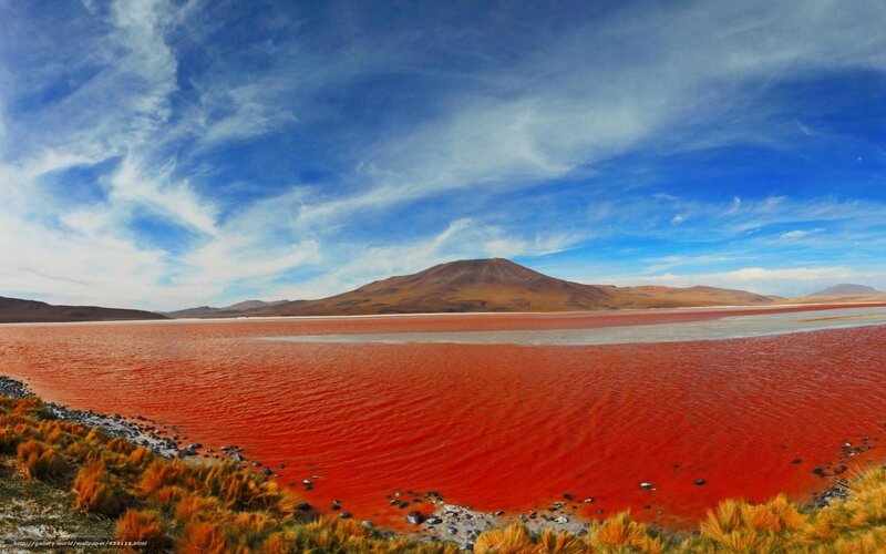 Red lake in desert landscape