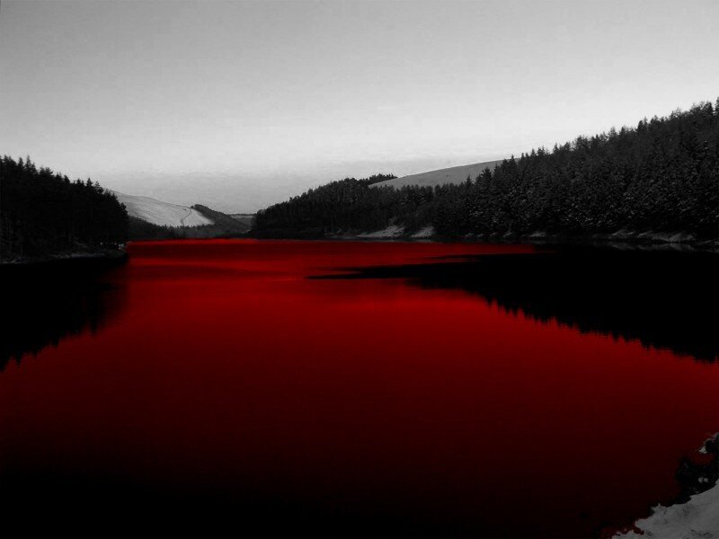 Red Lake in Forest — Dramatic, Winter