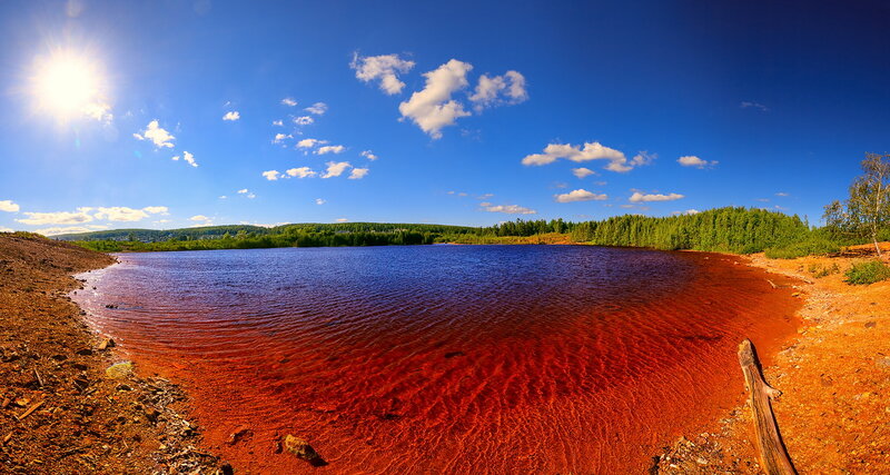 Red Lake in Forest
