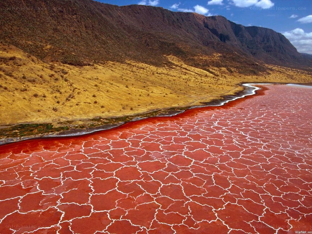 Red lake with cracked surface