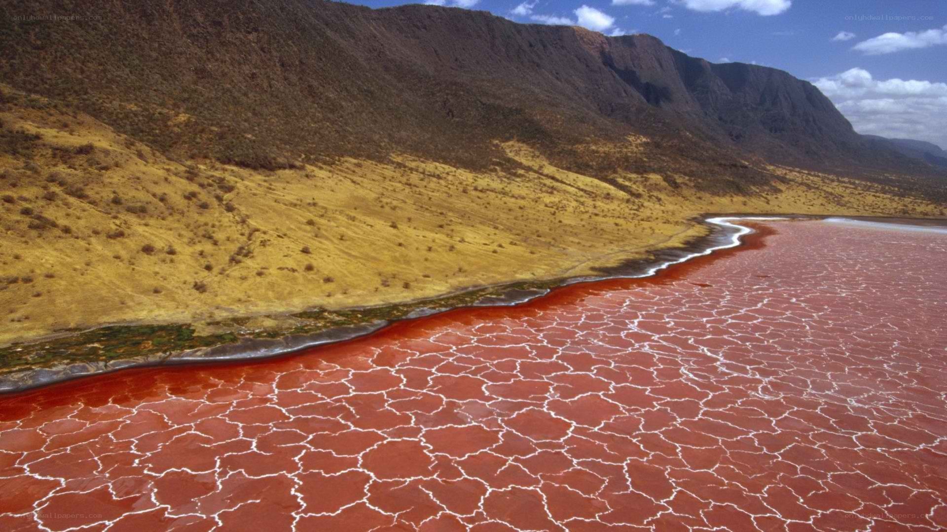 Red lake with cracked surface