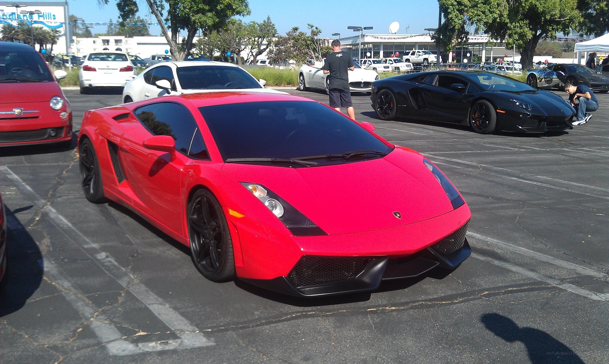 Red Lamborghini at car show
