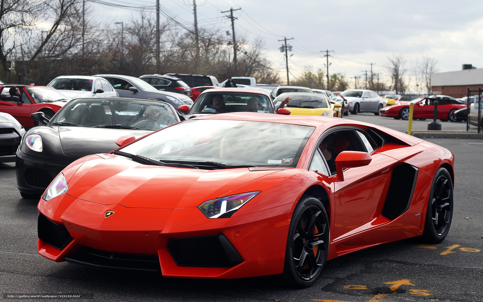 Red Lamborghini at car show