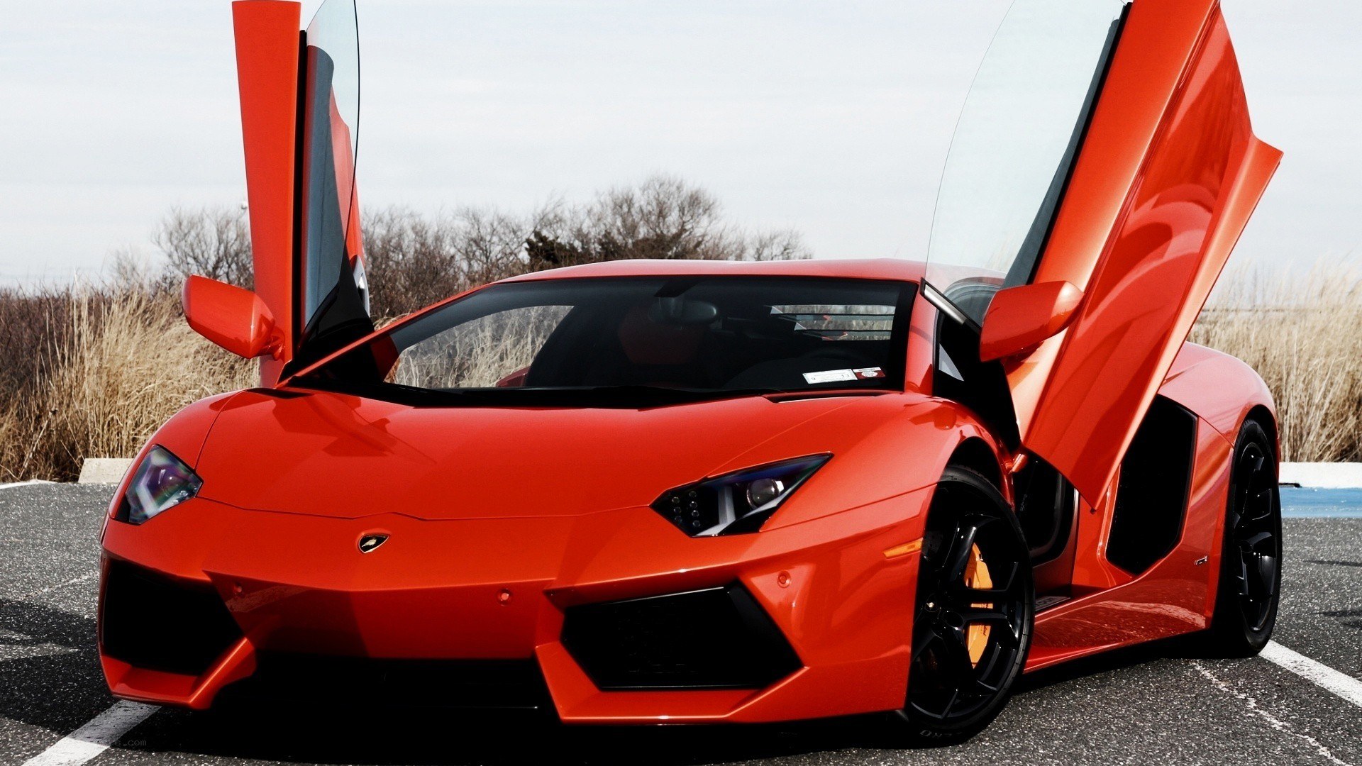 Red Lamborghini Aventador