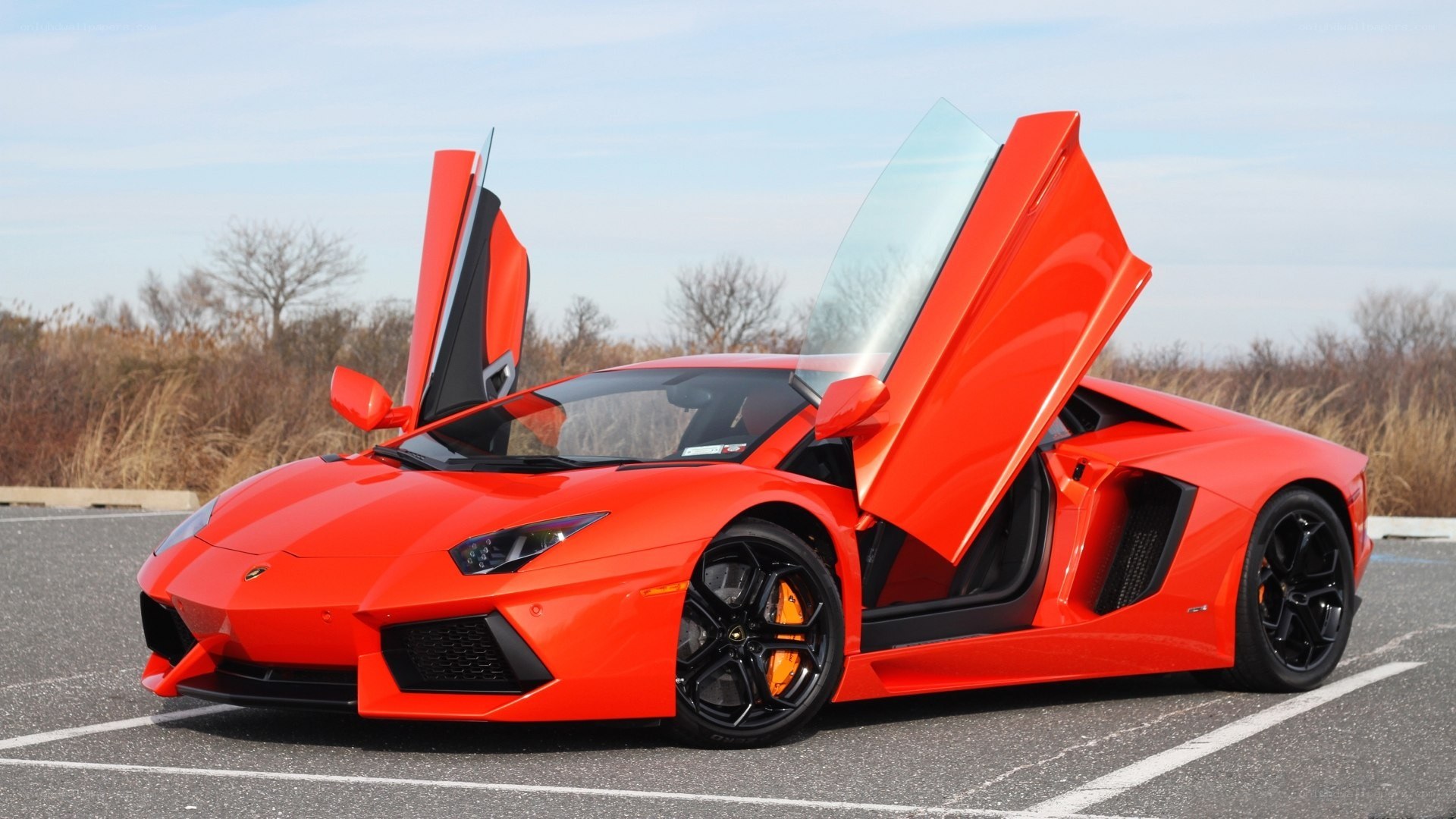 Red Lamborghini Aventador