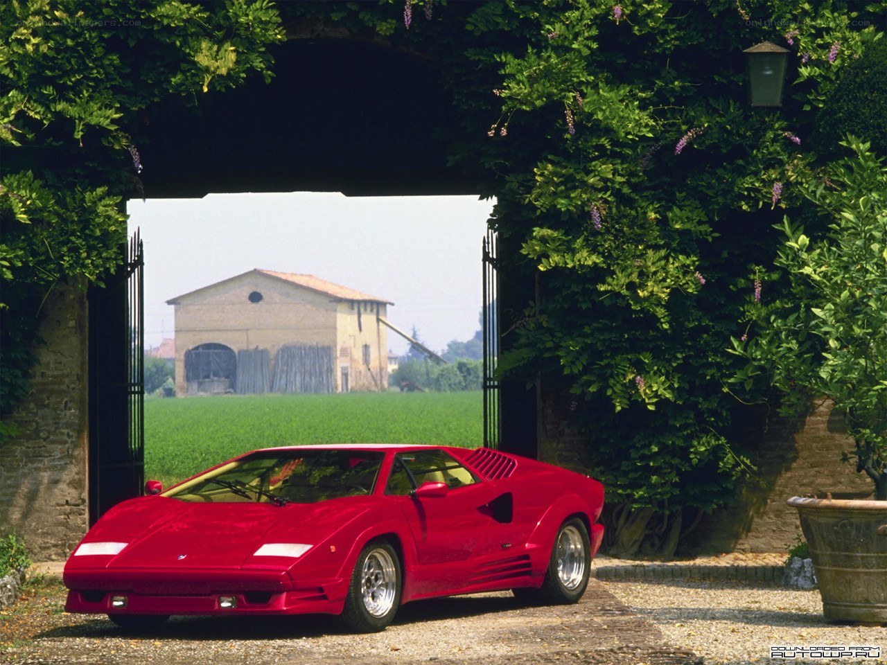 Red Lamborghini Countach in garden