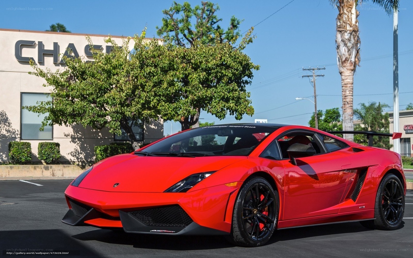 Red Lamborghini Gallardo