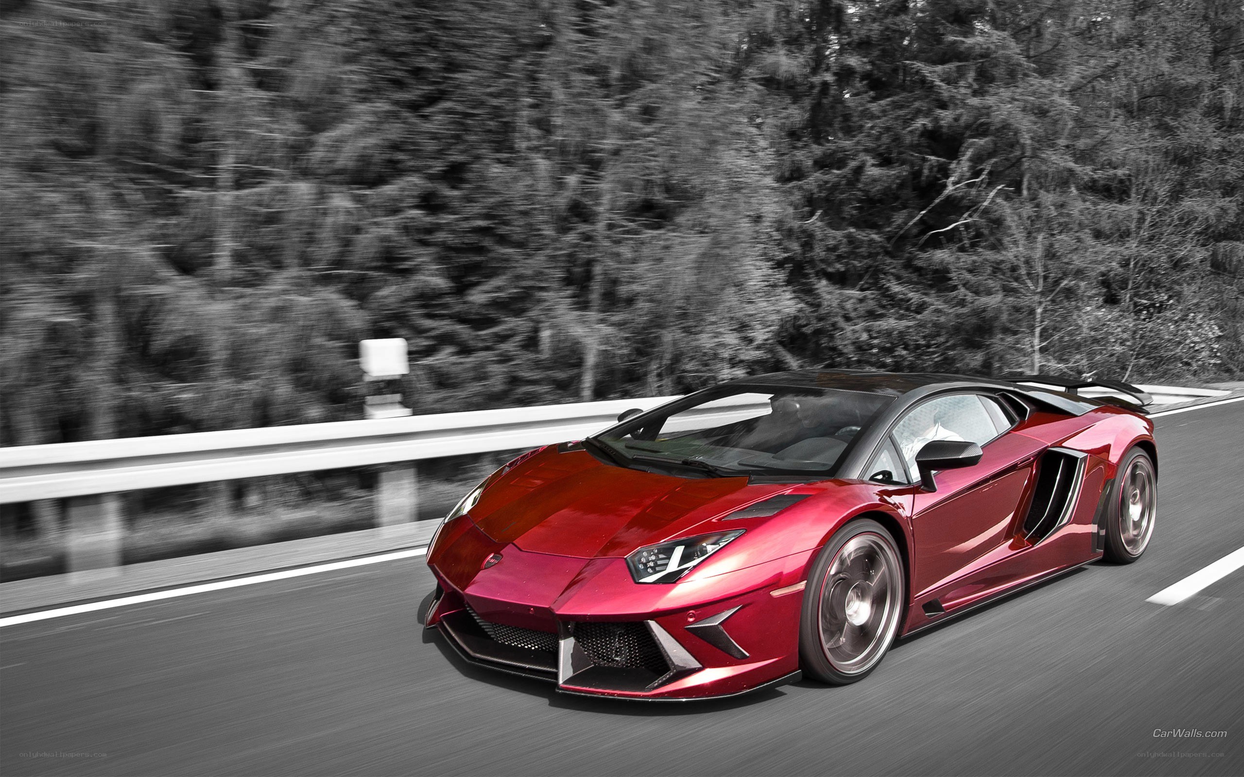 Red Lamborghini on a forest road
