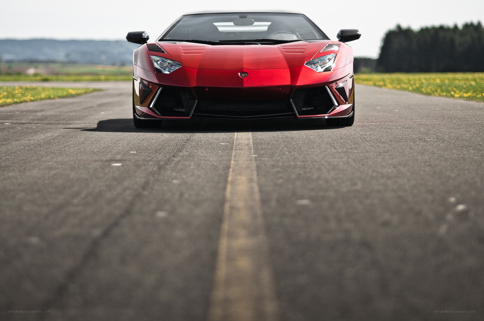 Red Lamborghini on a road