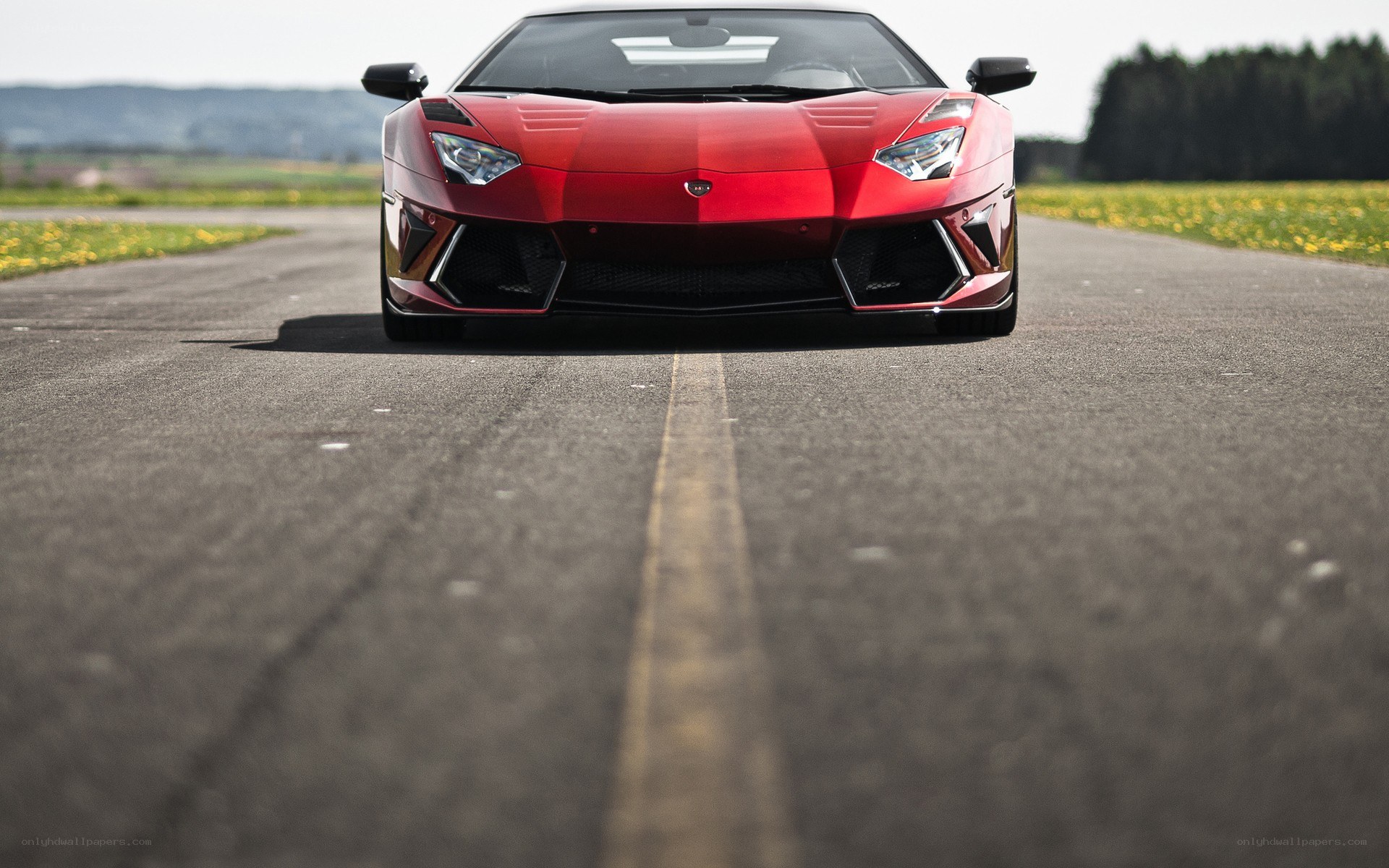 Red Lamborghini on a road