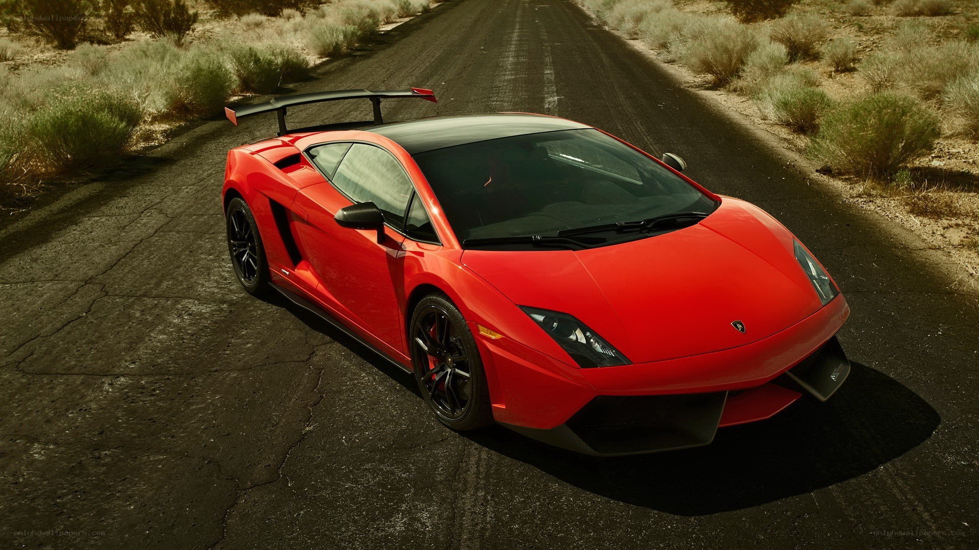 red lamborghini on desert road