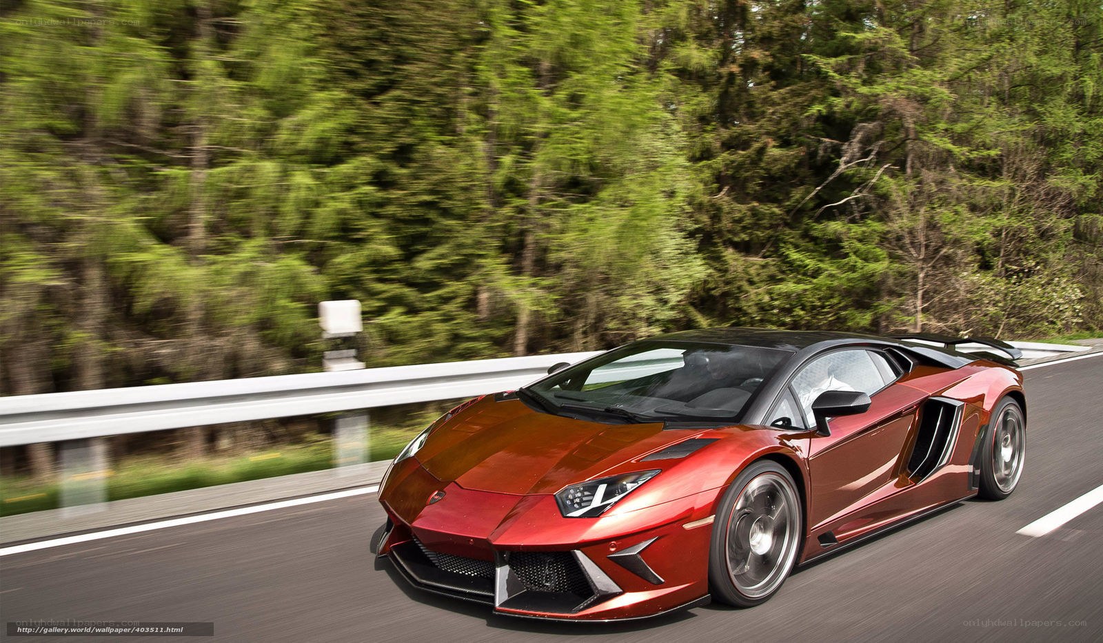 Red Lamborghini on forest road