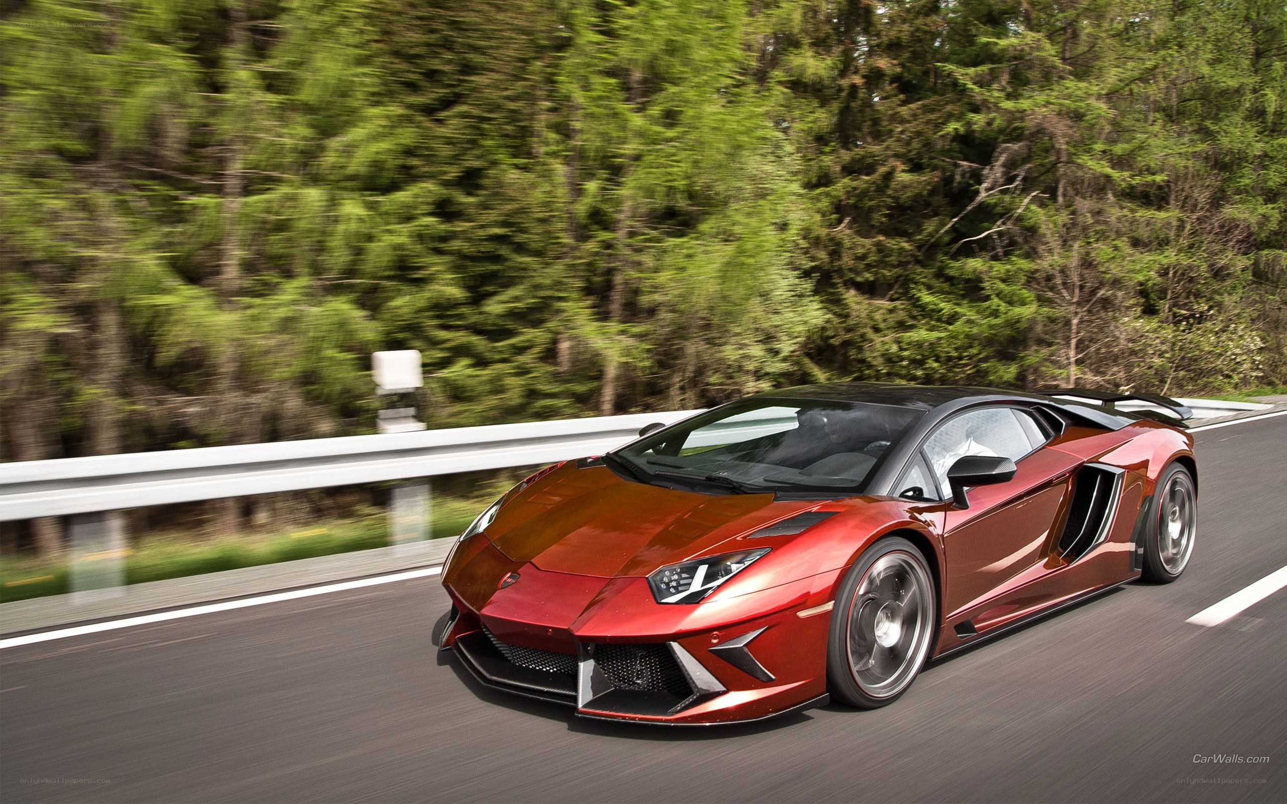 Red Lamborghini on forest road