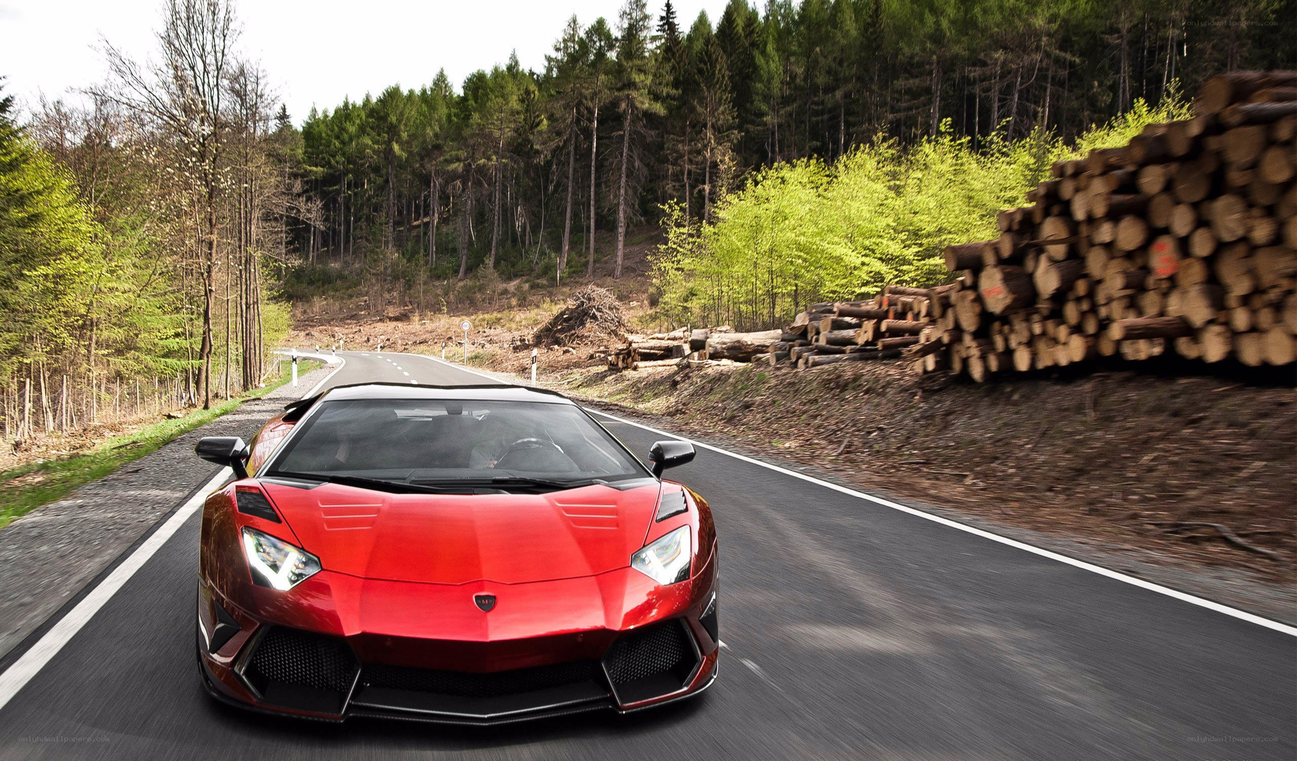 Red Lamborghini on forest road