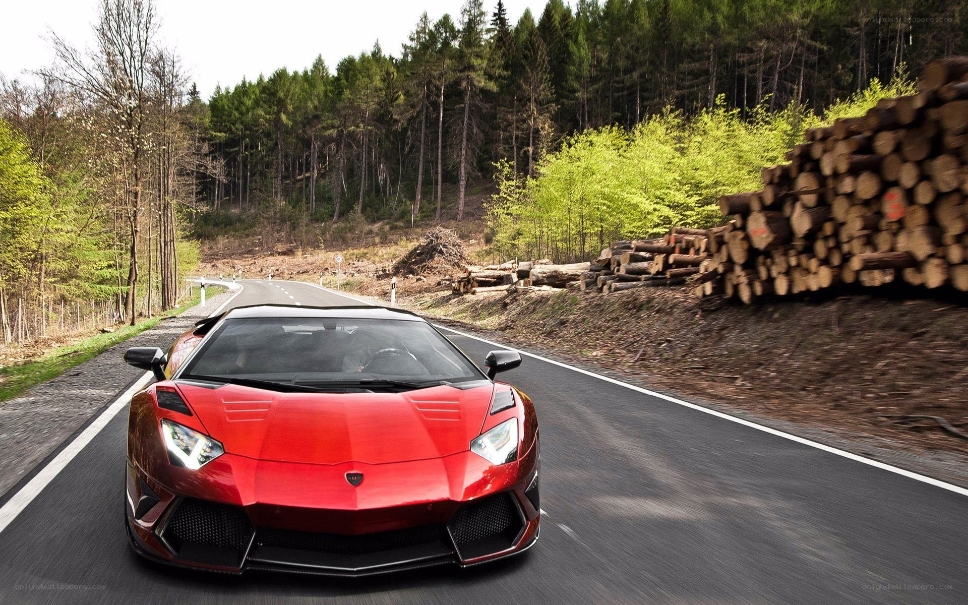 Red Lamborghini on forest road