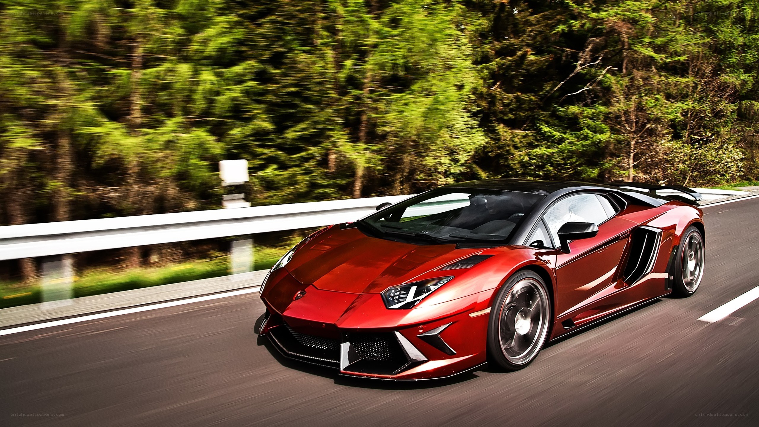 Red Lamborghini on forest road