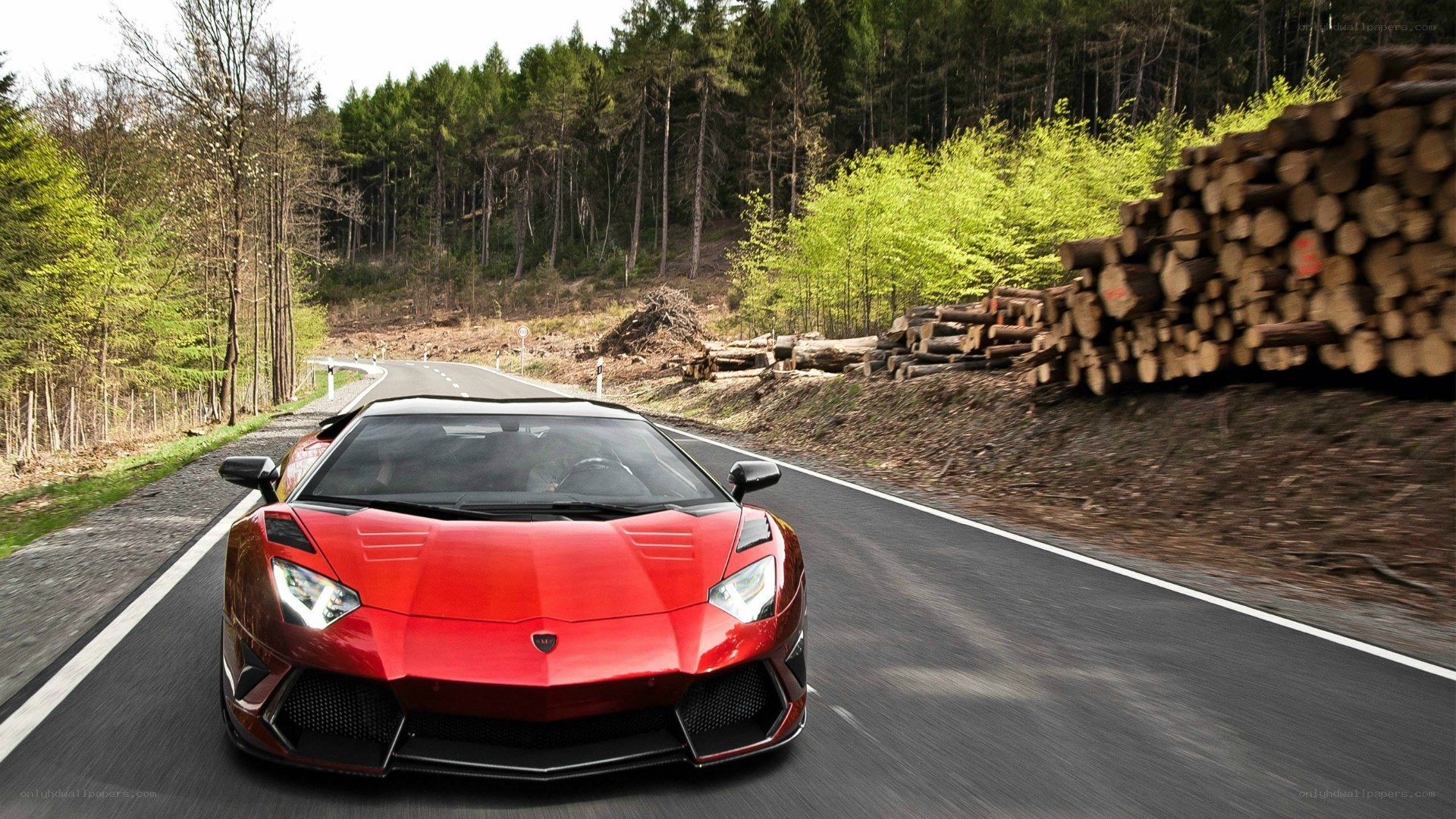 Red Lamborghini on forest road