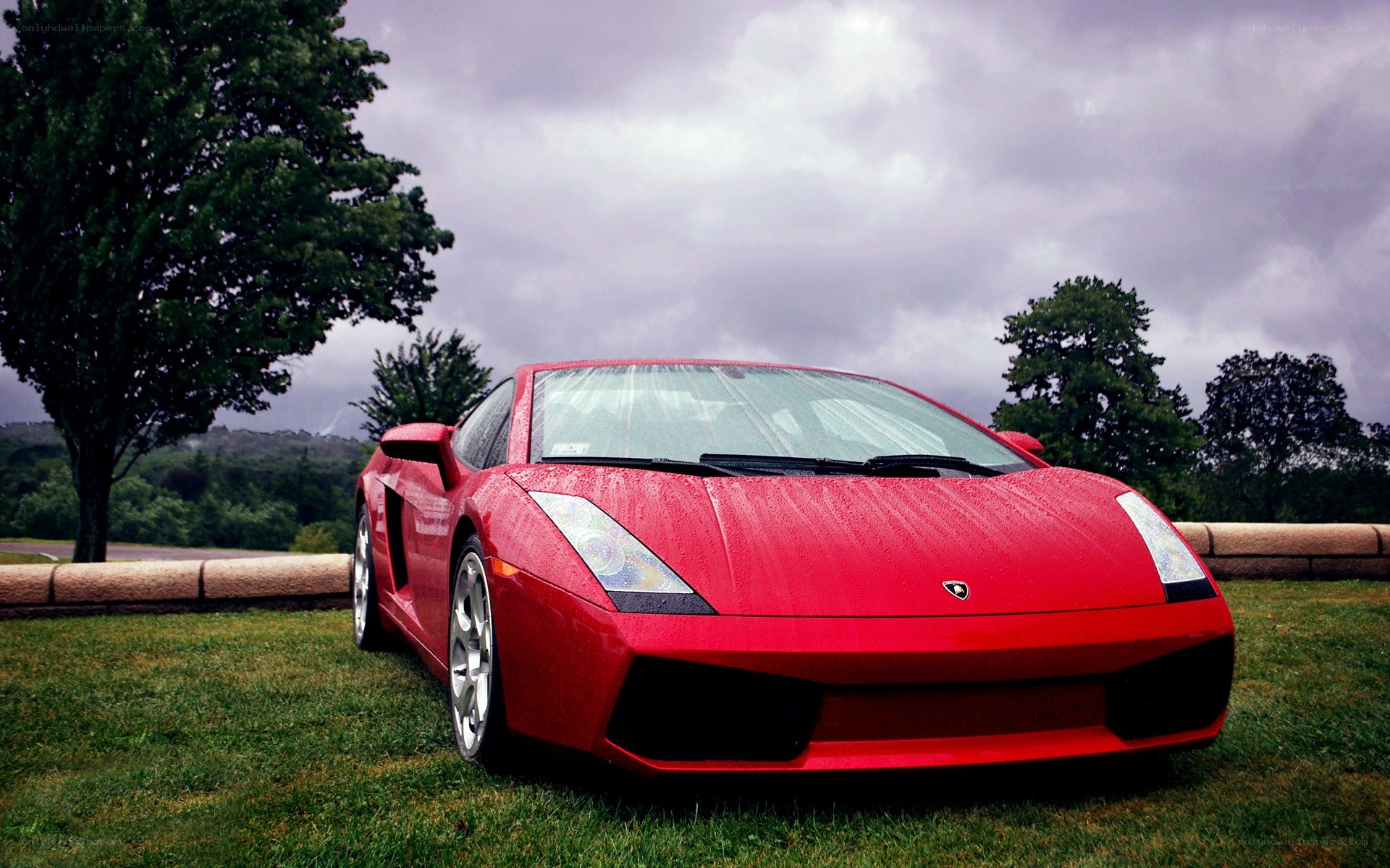 Red Lamborghini on grass